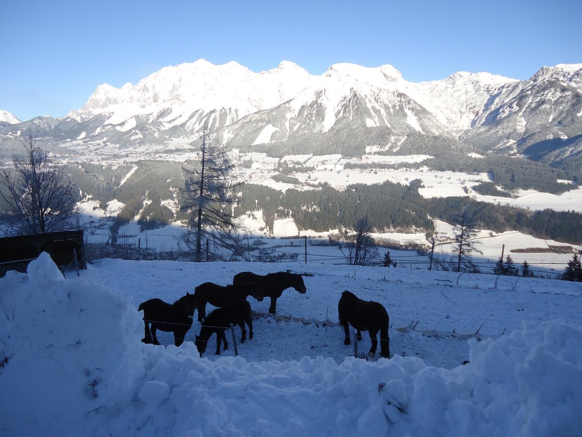 Asingerhof Hotel Schladming Exterior foto